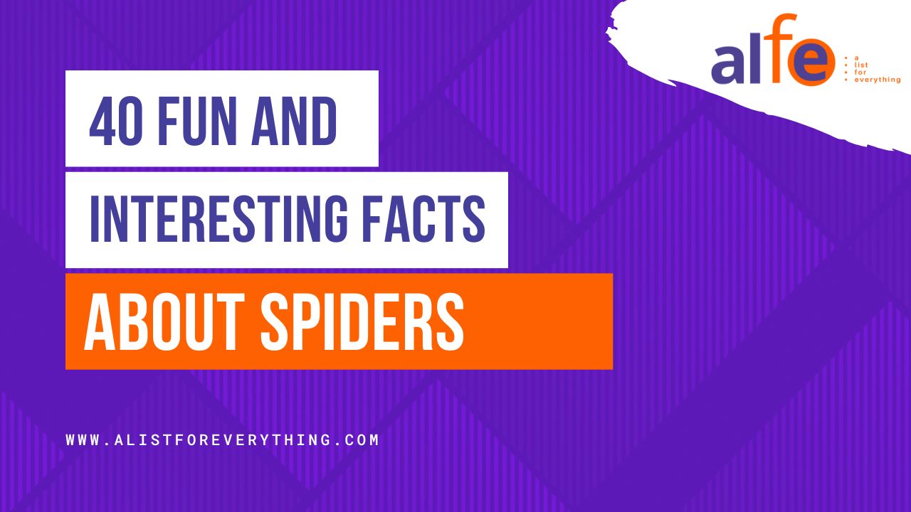 Fun and Interesting Spider Facts blog cover pics